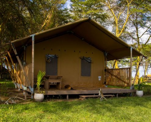 Vous séjournerez dans des tentes confortables et entièrement meublées avec salle de bain pendant votre safari de 5 jours en Tanzanie. Cette photo provient de l'Africa Safari Lake Manyara Lodge.