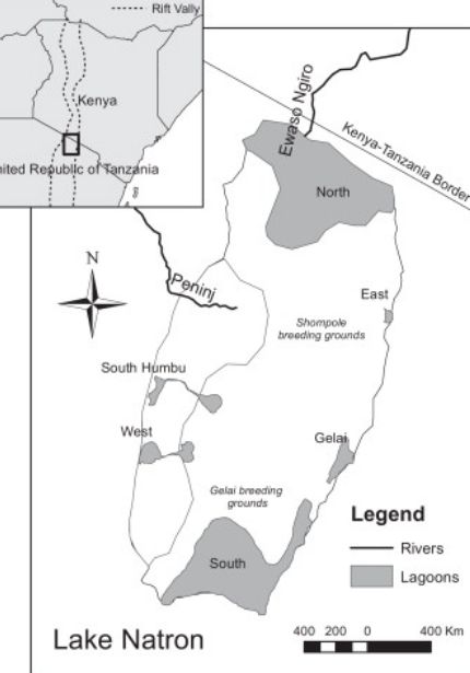 Carte du lac Natron